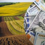 Зниження вартості землі, погіршення інвестклімату – експерти пояснили, до чого можуть призвести ініціативи Мінагропроду